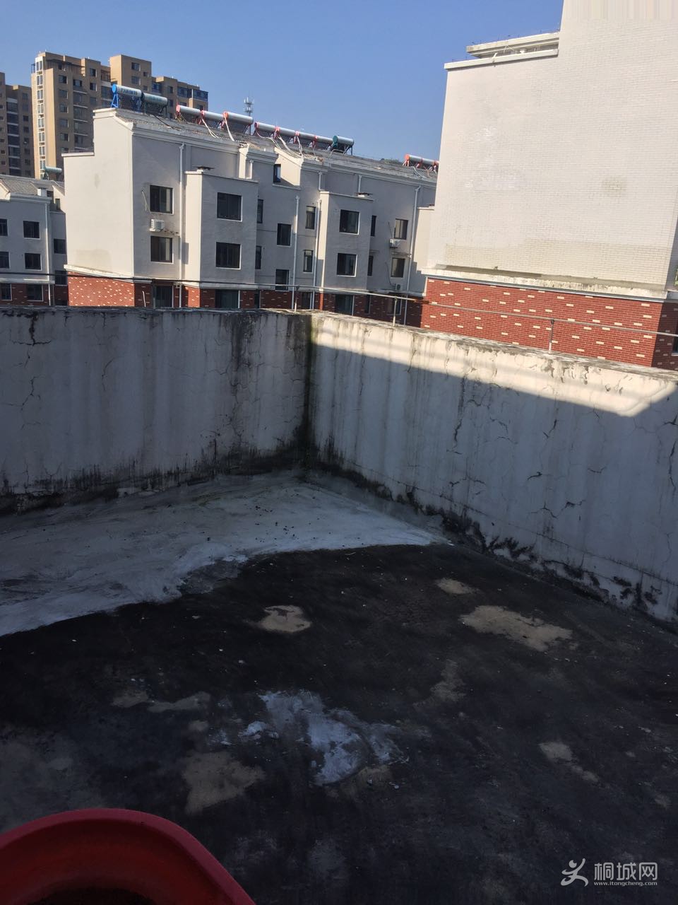 385380803300994352.jpg