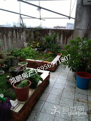 beff678dba4098e4f33028edfdb7a9d9-1499420422536_mh1499560741472.jpg