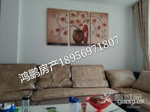61fc8a73ab4ca04d00dbe2bf8963f755-1498701255118_mh1498707299772.jpg
