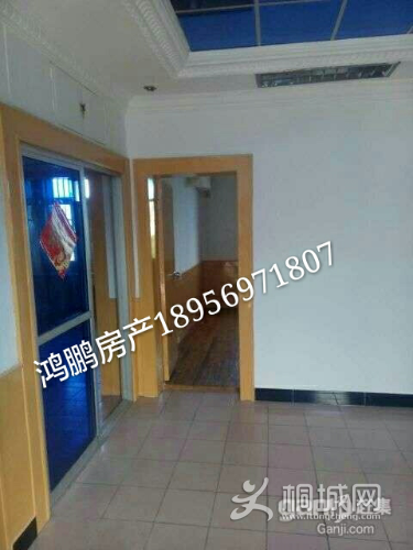 ad267d0cba8d7bd10ebeb444bc85eebf-1499416806597_mh1499419907504.jpg