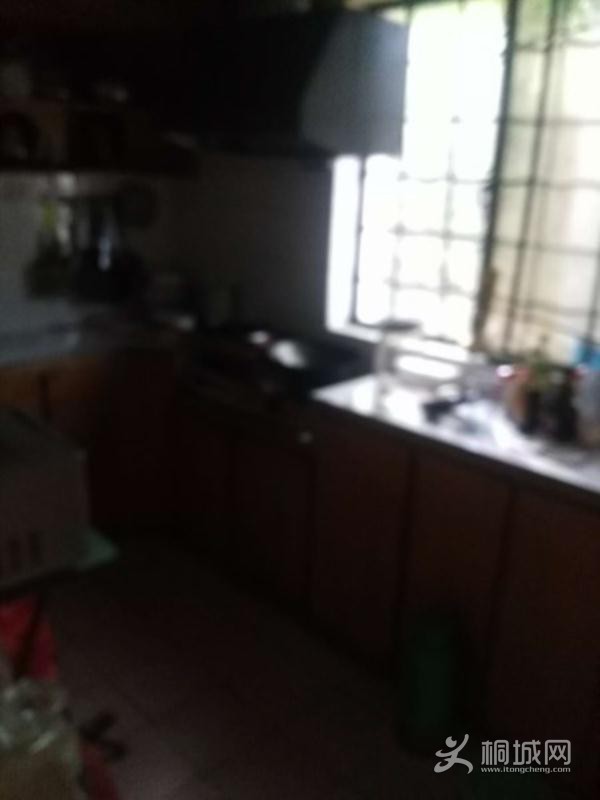 House_72d9d3a5-8582-44ed-b2b2-7a1b631a10d4_big.jpg
