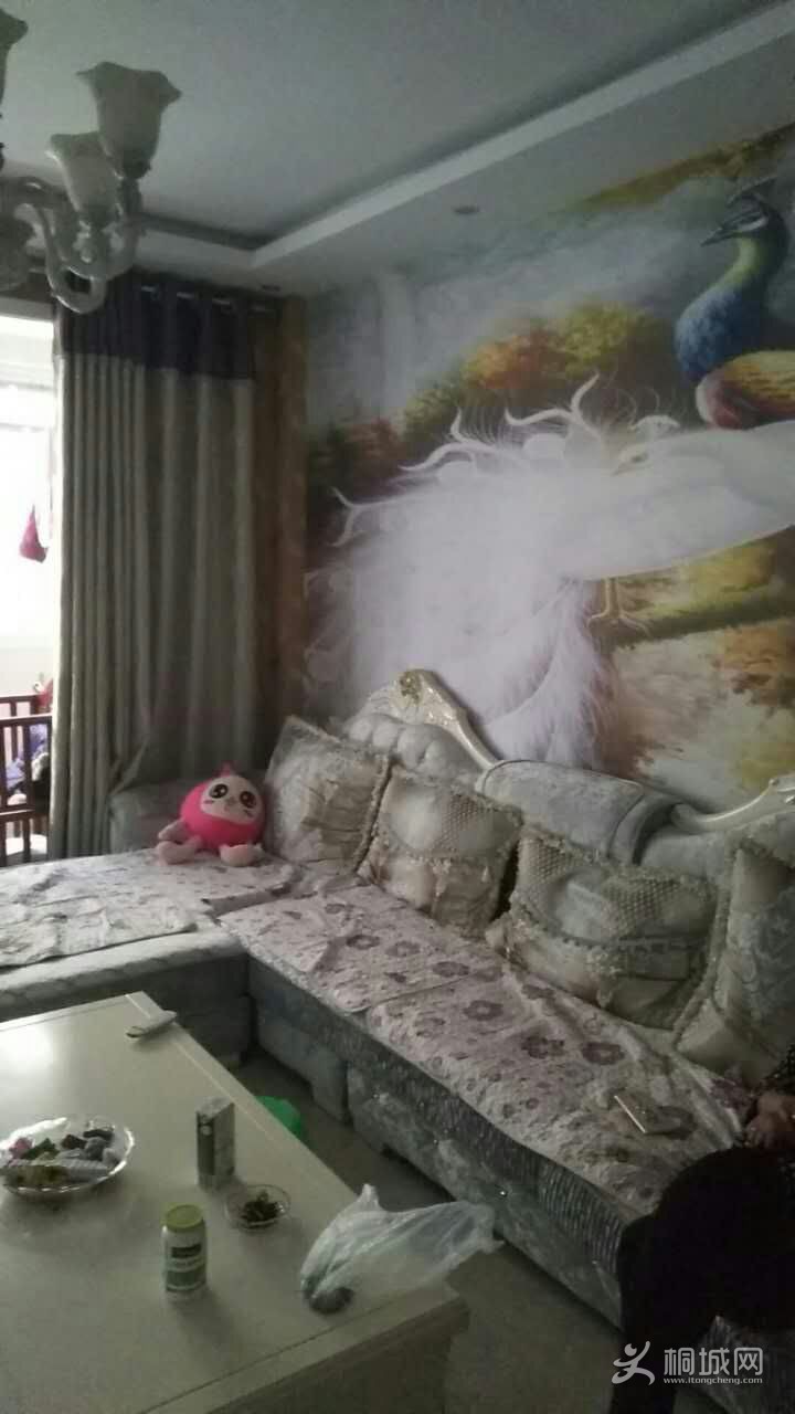 mmexport1501977951768.jpg