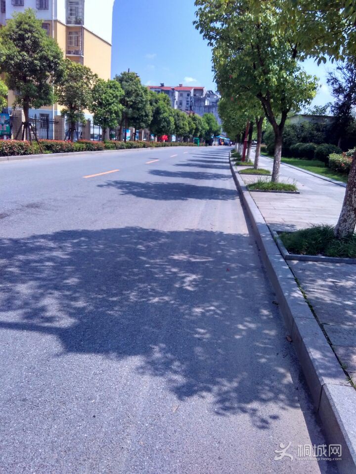 QQͼƬ20170822142519.jpg