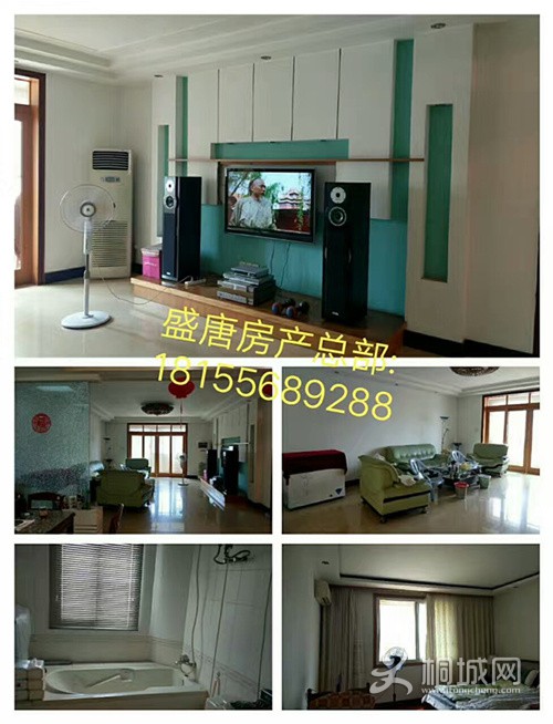 mmexport1500534510813.jpg