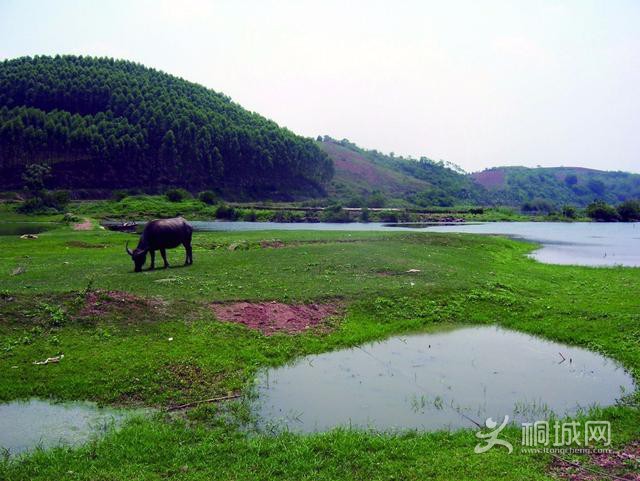 mmexport1504017100787.jpg