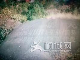 Զһ19688114ʱ38ëϯӼǰ߾Ӵ