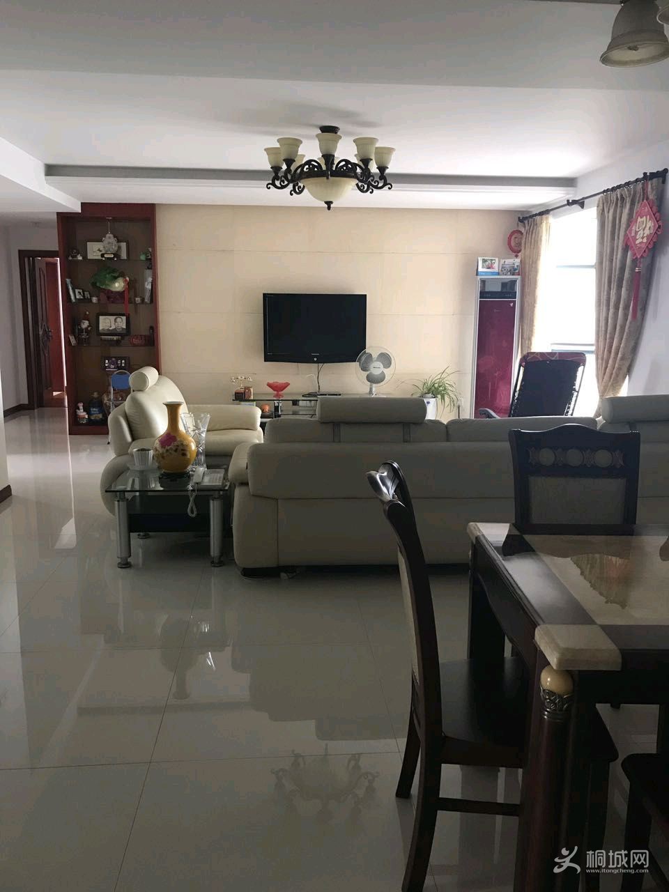 XlWHq6hSni32.jpg