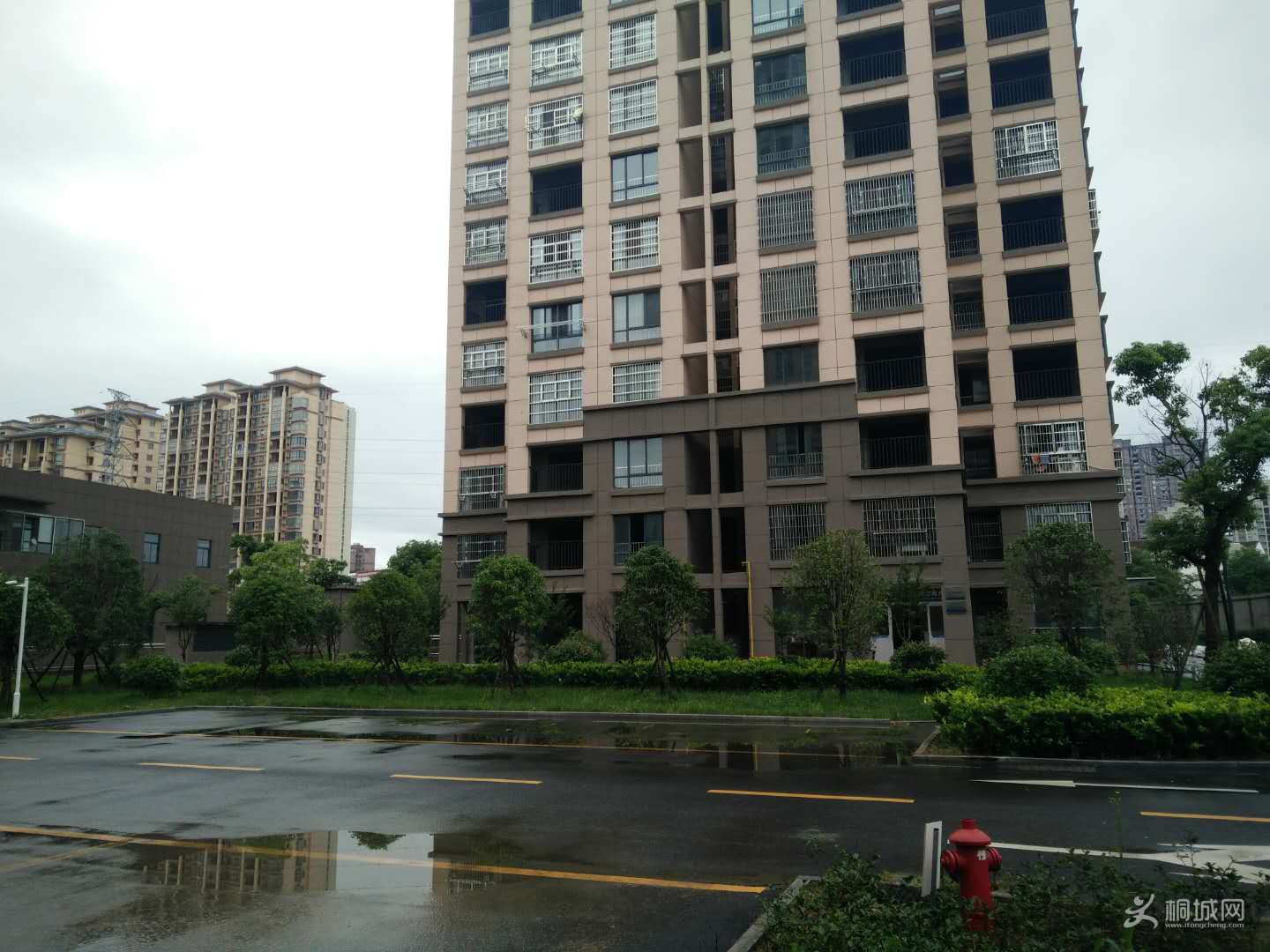 273873113177298525.jpg