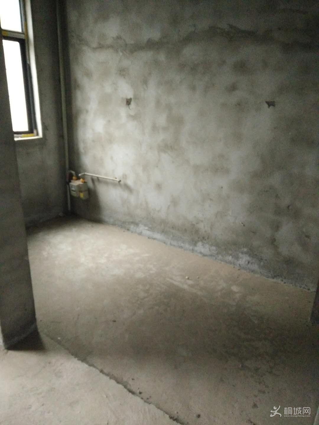 431859514982241403.jpg