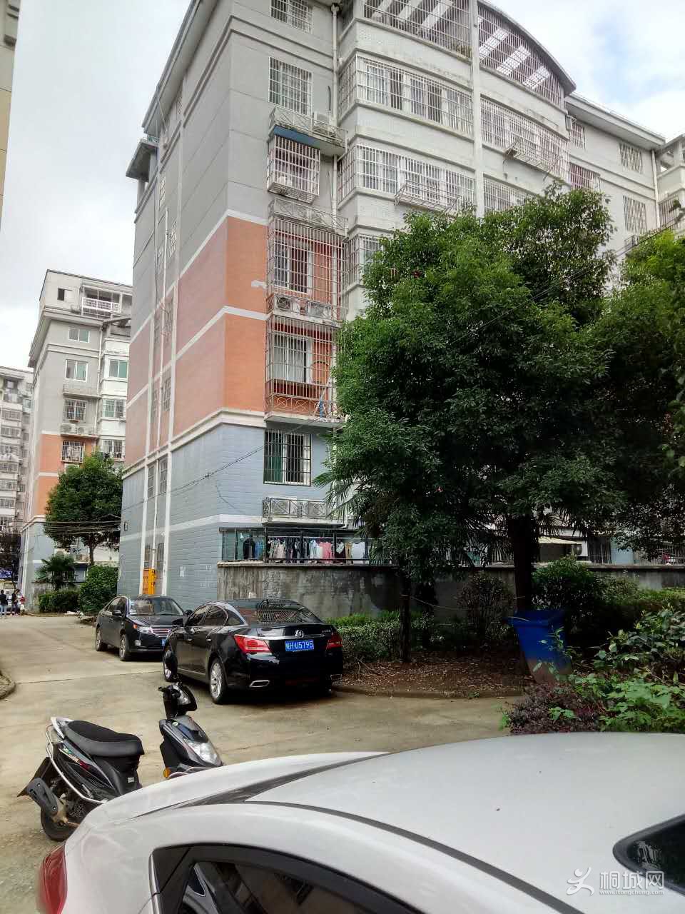 p1.jpg