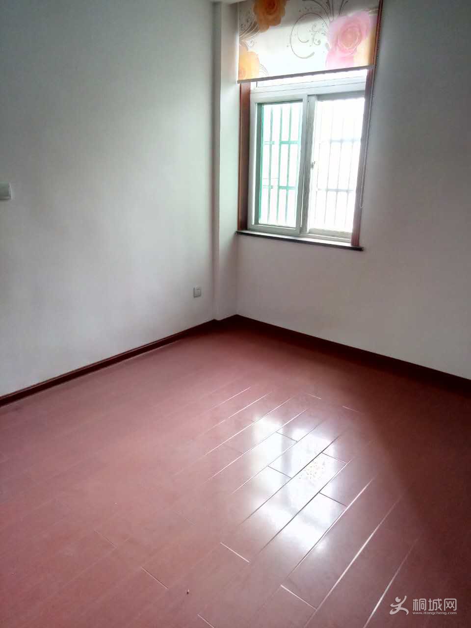 p7.jpg