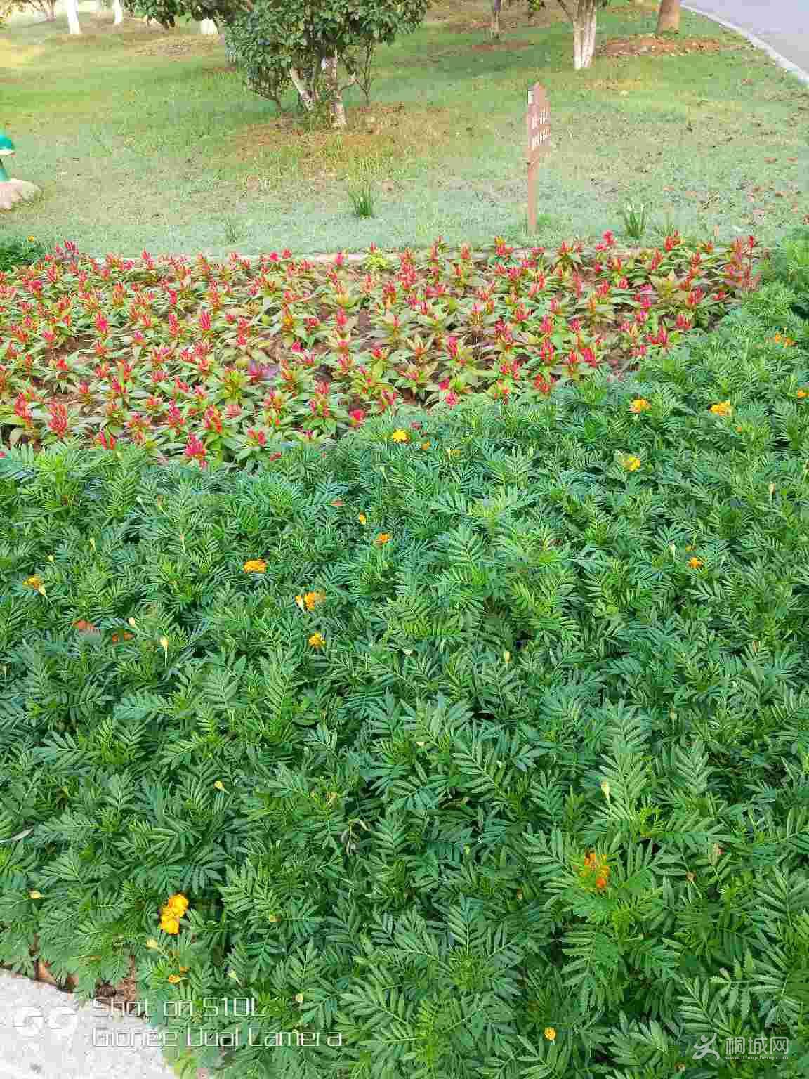 GpXcK7P0pj6g.jpg