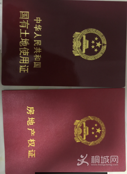 ��֤