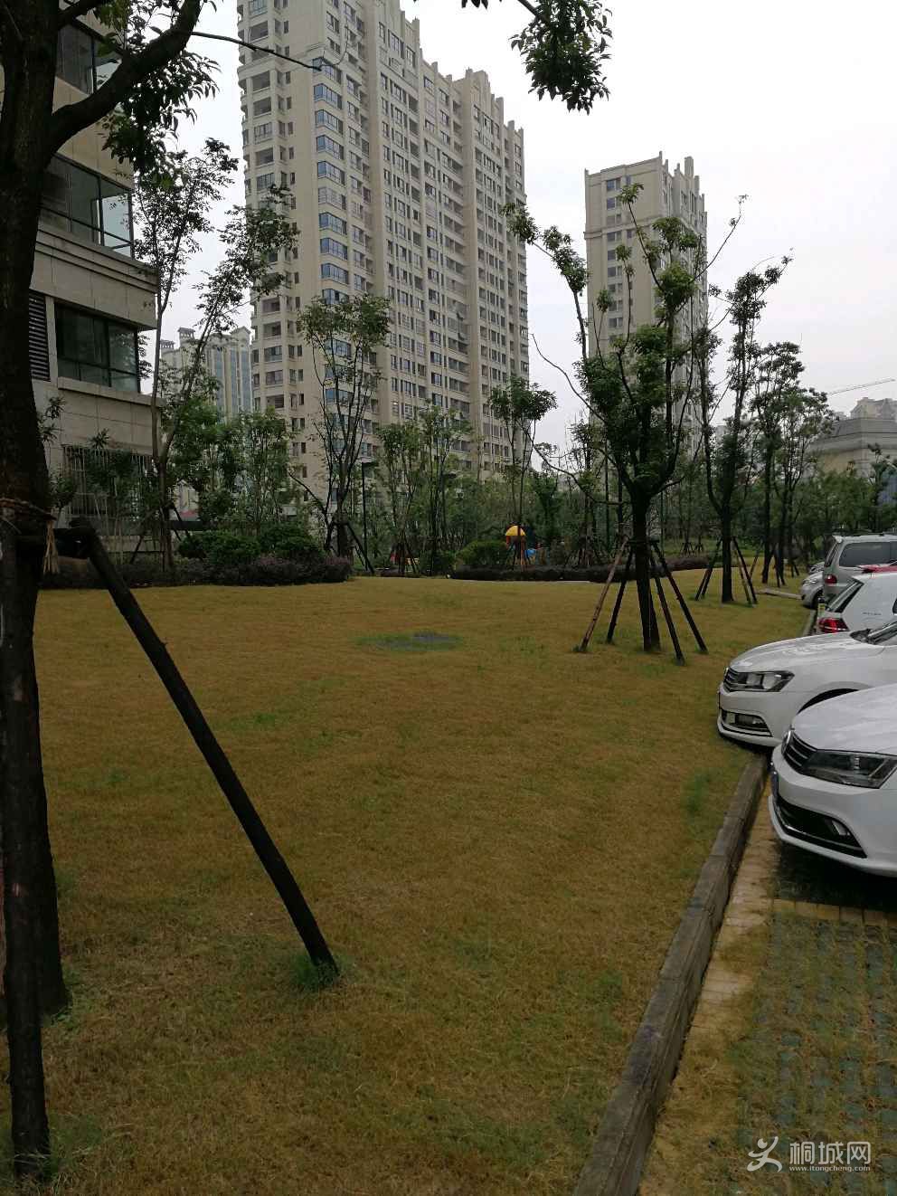 crZ0BNQ2ST00.jpg