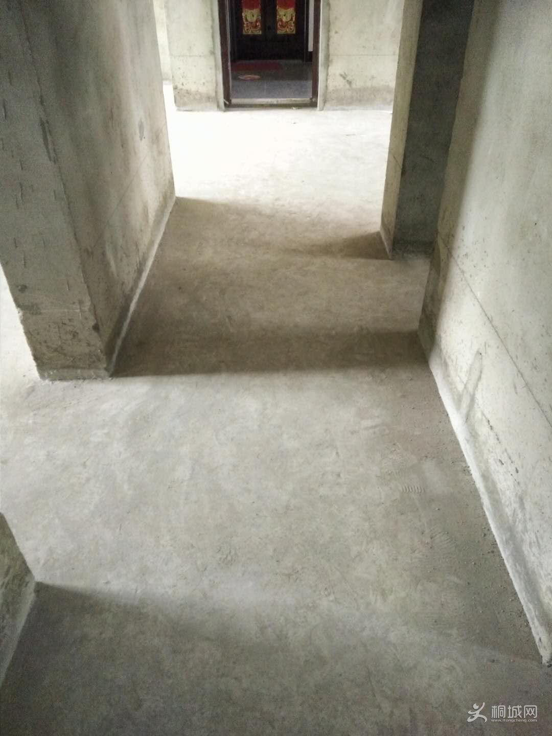 266185755117318782.jpg