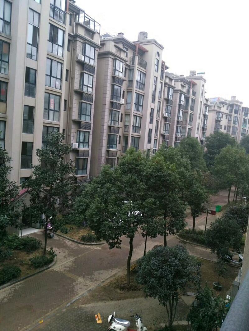 mmexport1510925808997.jpeg