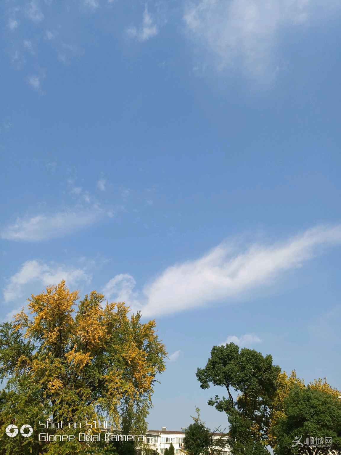 RR0i03brHirR.jpg