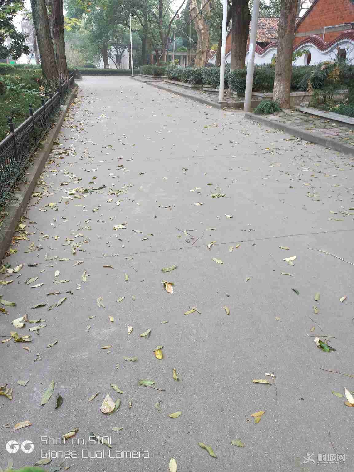 hSd05kkwHrDk.jpg