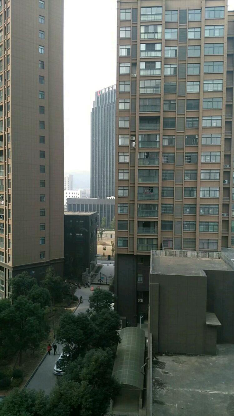 mmexport1512454042982.jpeg