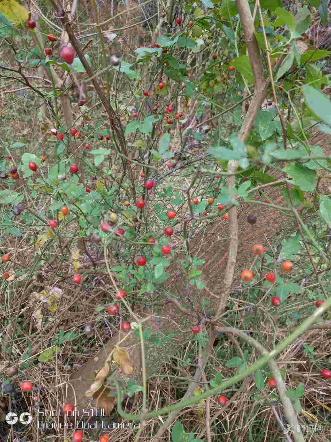 F28kZxgz82E0.jpg