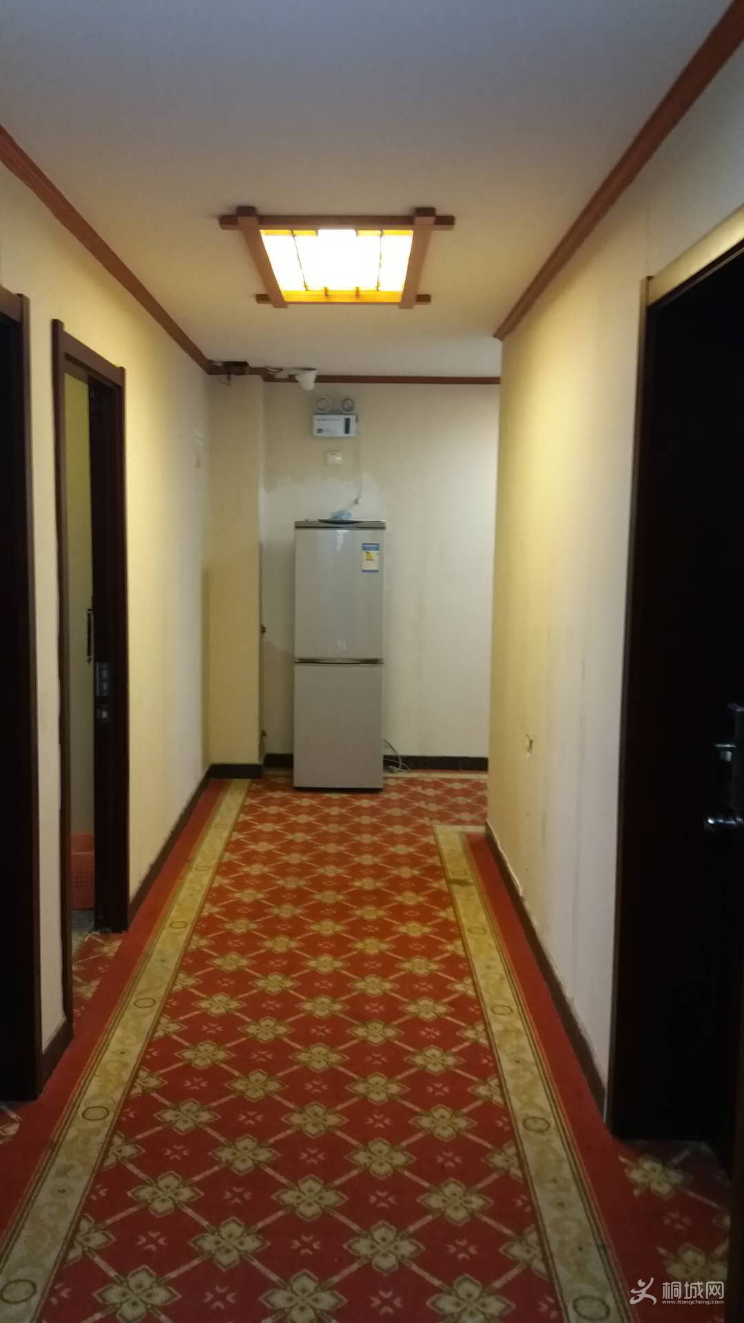 773612135043133953.jpg