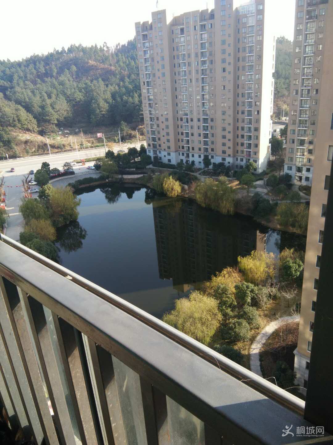 151114913571943906.jpg