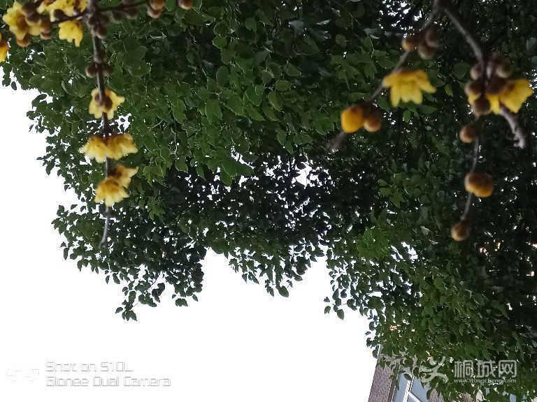 f8qj3HSN51q3.jpg