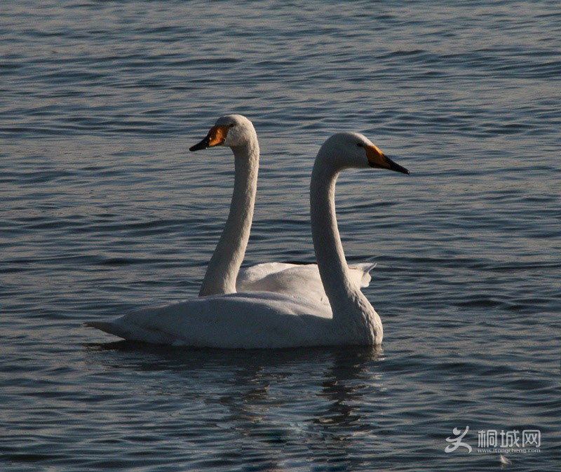 27 IMG_1659-.JPG