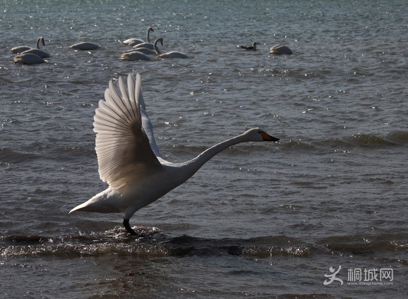 33 IMG_1143.JPG