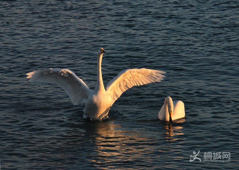 39 IMG_1729.JPG