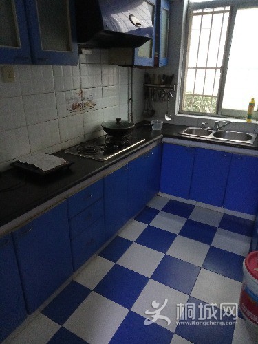 P80116-142551.jpg