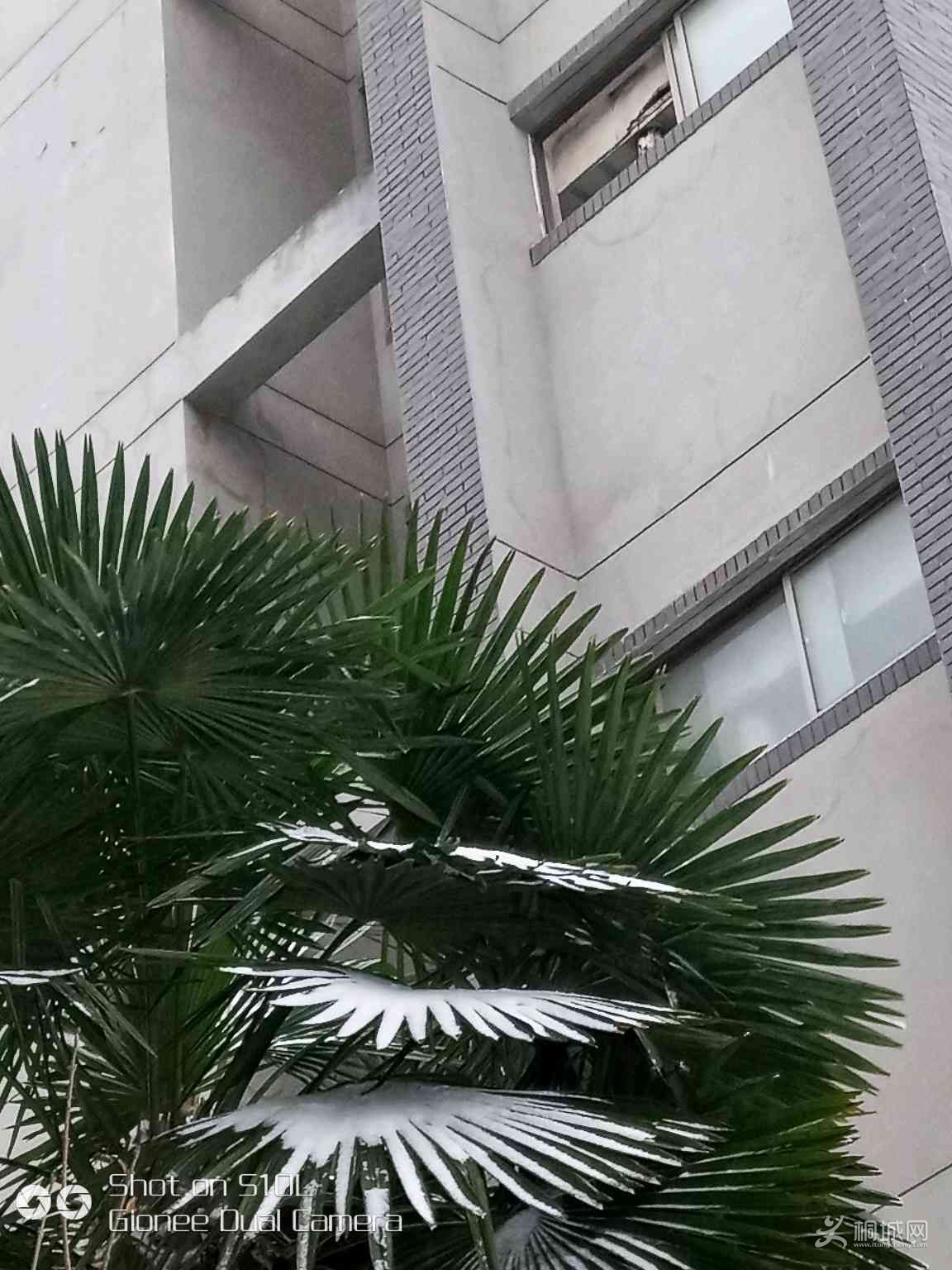fsQQ86DPkC6c.jpg