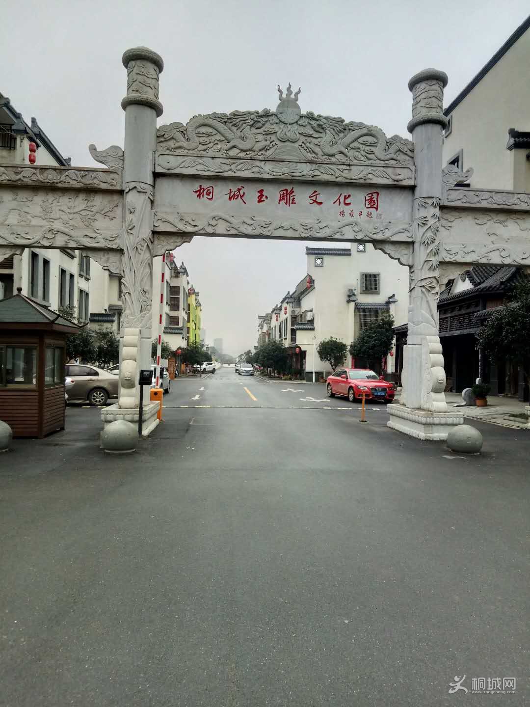 c1.jpg