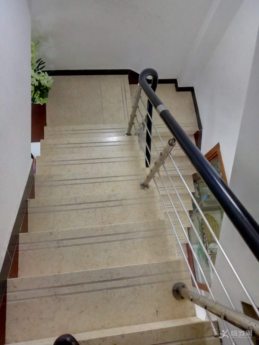 c4.jpg