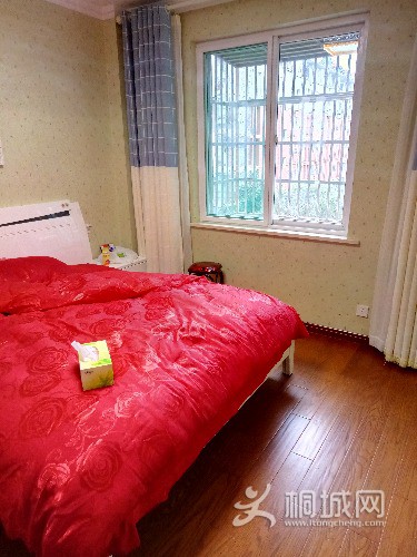 P80219-155550.jpg