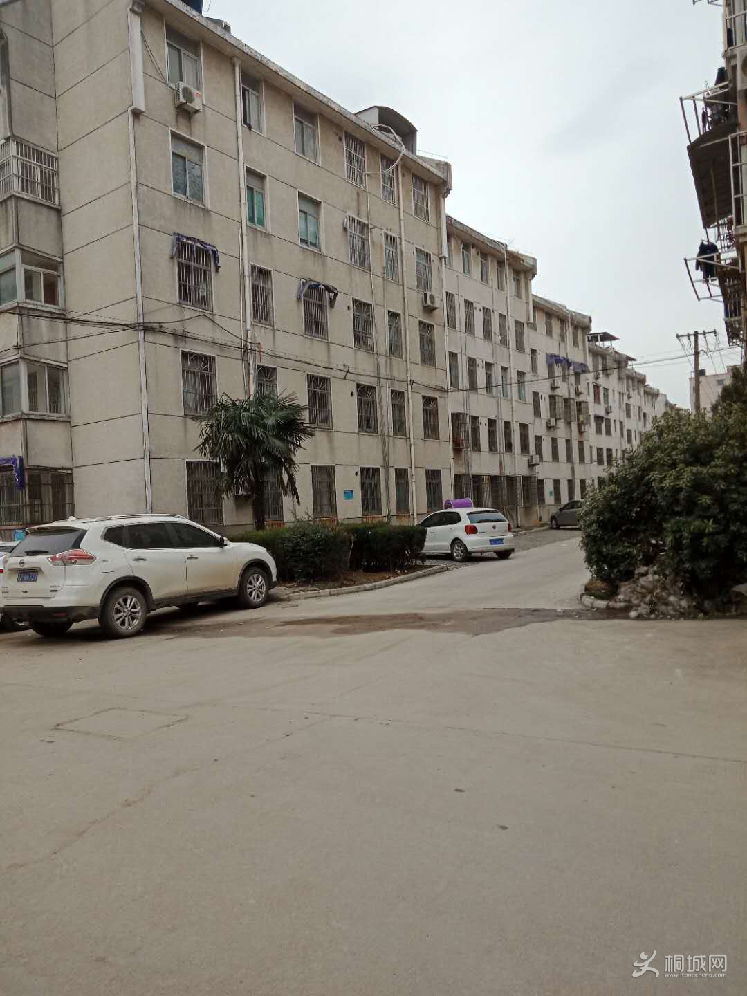 721017883668574287.jpg