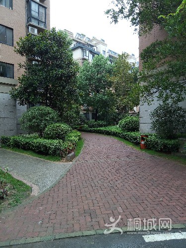 P70802-142234.jpg