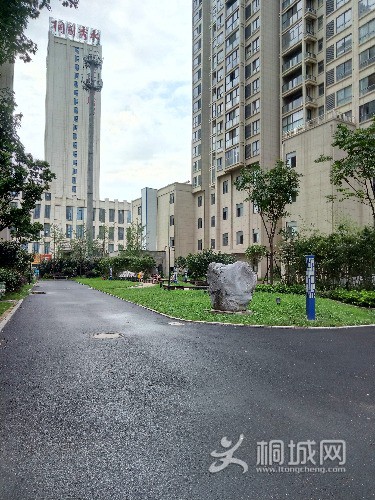 P70820-160254.jpg