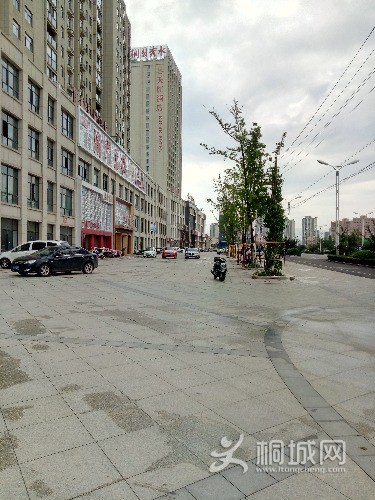 P70820-154844.jpg