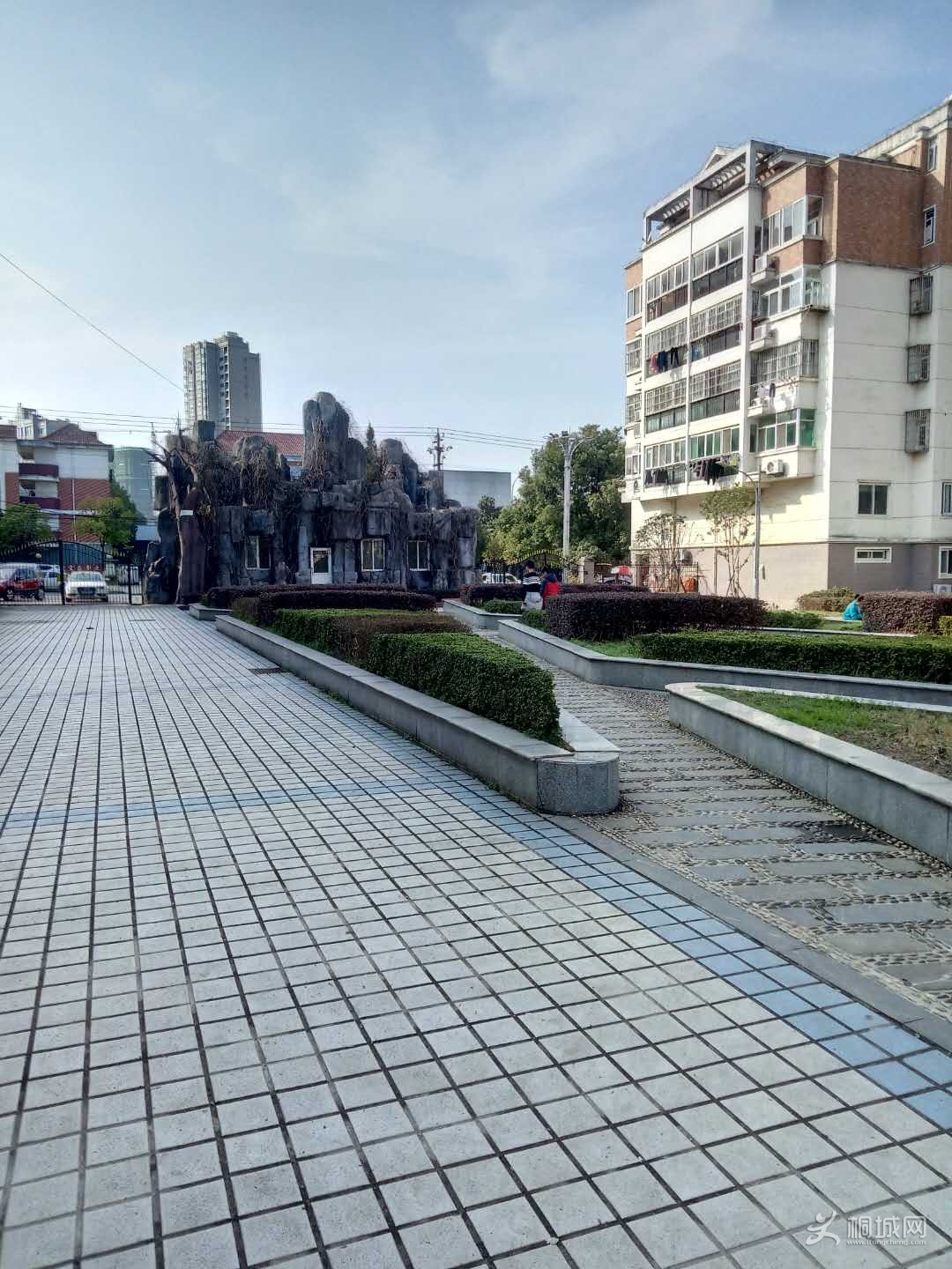 p1.jpg