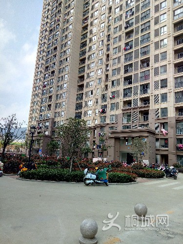 P80321-142408.jpg