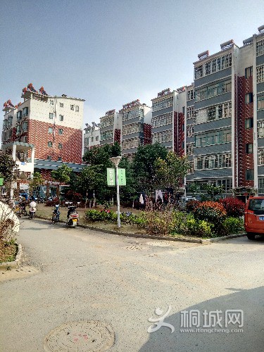 P80322-153834.jpg