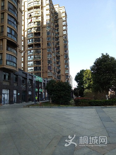 P80312-145908.jpg