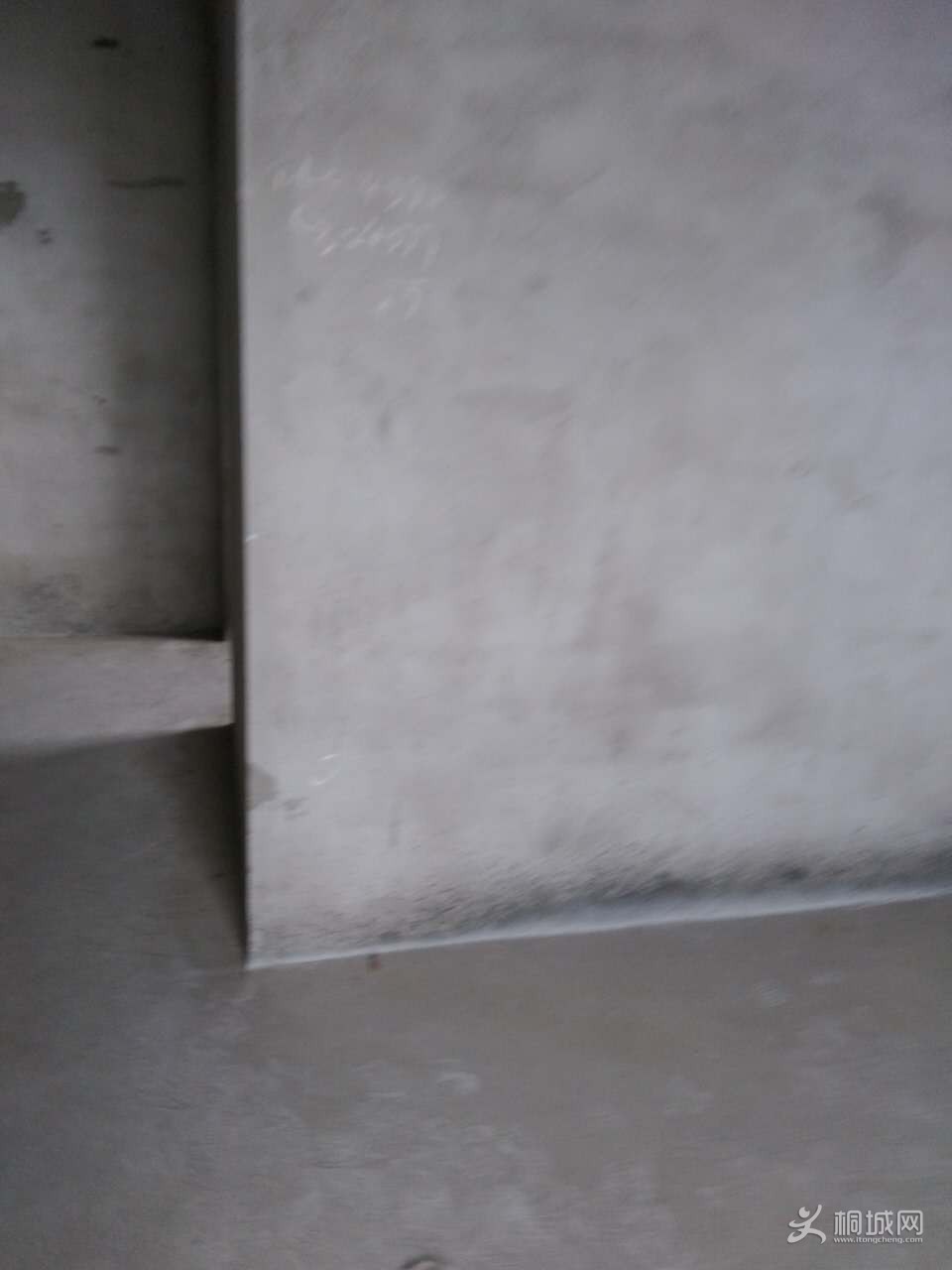 mmexport1523604472022.jpg