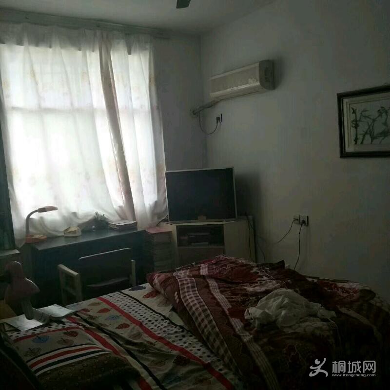 mmexport1523697420663.jpeg