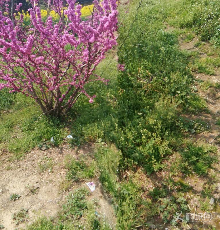 IMG_20180327_120221.jpeg
