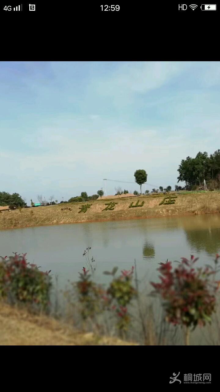 超级截屏_20180419_125916.jpeg