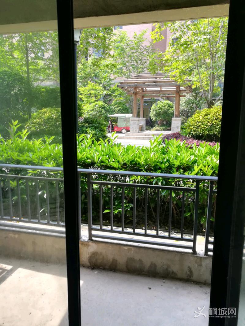 IMG_20180427_101014.jpeg