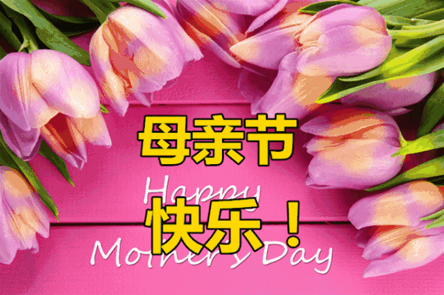 ĸ�׽ڿ���.gif