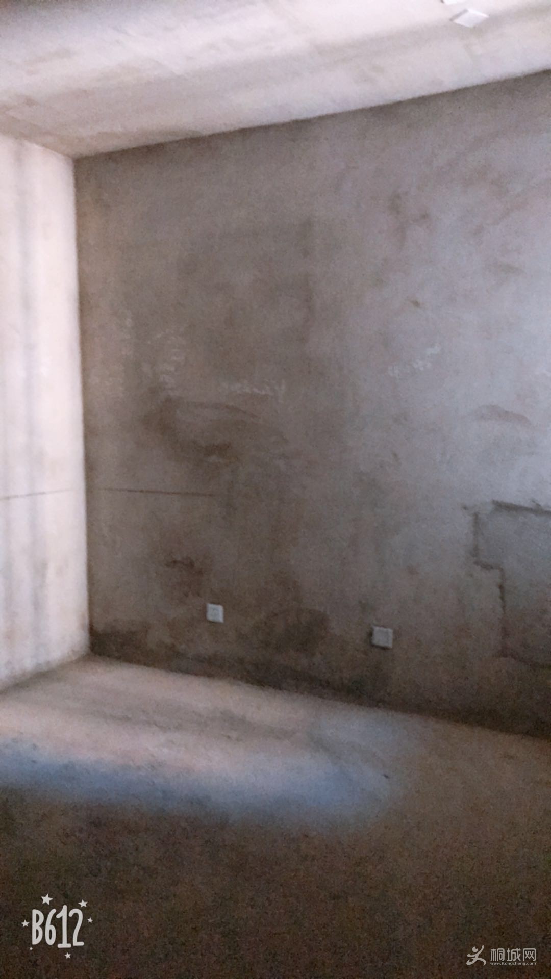 517701320809648390.jpg